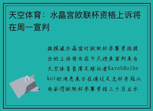 天空体育：水晶宫欧联杯资格上诉将在周一宣判